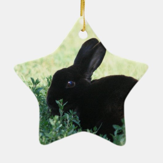 Lil Black Bunny Keramisch Ornament (Achterkant)