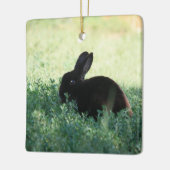 Lil Black Bunny Keramisch Ornament (Links)