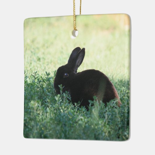 Lil Black Bunny Keramisch Ornament (Links)