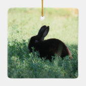 Lil Black Bunny Keramisch Ornament (Achterkant)