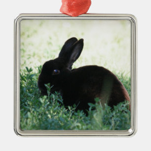 Lil Black Bunny Metalen Ornament