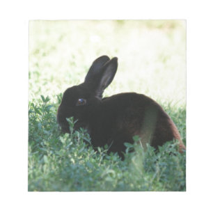 Lil Black Bunny Notitieblok
