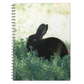 Lil Black Bunny Notitieboek (Voorkant)