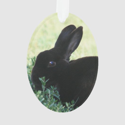 Lil Black Bunny Ornament (achterkant)