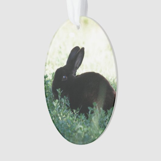 Lil Black Bunny Ornament (voorkant)