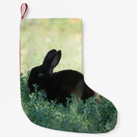 Lil Black Bunny Red Back Kleine Kerstsok (Voorkant)