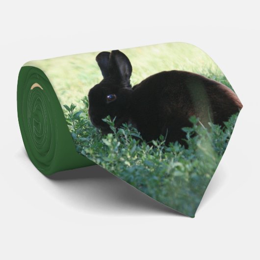 Lil Black Bunny Stropdas (Opgerold)