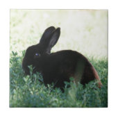 Lil Black Bunny Tegeltje (Voorkant)