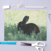 Lil Black Bunny Tissuepapier (Craft)