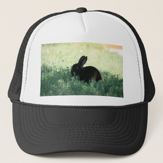 Lil Black Bunny Trucker Pet (Voorkant)
