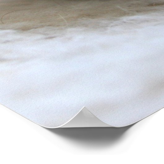 Lil Black Kitten Poster (Hoek)