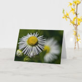 Li'l Daisies Kaart (Gele Bloem)