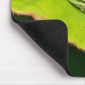 Lil' Frog Mousepad Muismat (Hoek)