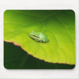 Lil' Frog Mousepad Muismat