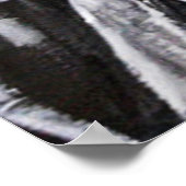 LIL JO DE BRAND POSTER (Hoek)