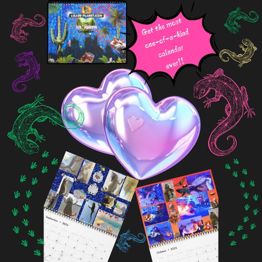 Lil' Murph Bearded Dragon Schattige Collage I Spy Kalender