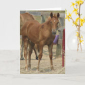 Lil' One Kaart (Gele Bloem)