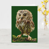 'Lil Owl-bemoedigingskaart' Kaart (Gele Bloem)