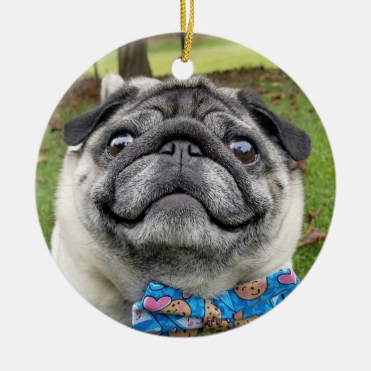 Lil Pickles Da Pug Ornament (Voorkant)