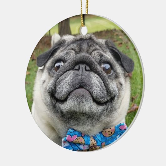 Lil Pickles Da Pug Ornament (Links)
