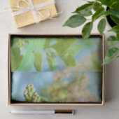 Lila aanjager - Primus Inter Pares Tissuepapier (Geschenk)