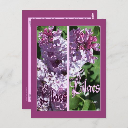 LILA BLADWIJZER BRIEFKAART (Voorkant / Achterkant)