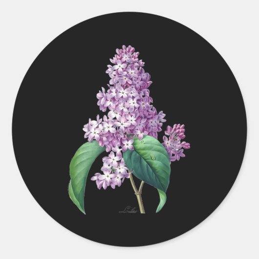 Lila bloembotanische voor tuinders ronde sticker (Voorkant)