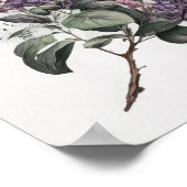 Lila Bloemen Art Print Poster (Hoek)