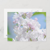 Lila bloemen briefkaart (Voorkant / Achterkant)