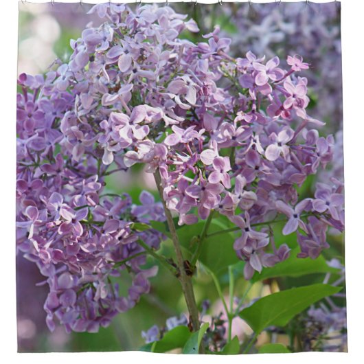 Lila bloemen douchegordijn (Voorkant)