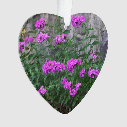 Lila bloemen Ornament (voorkant)