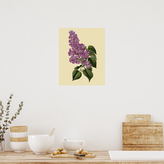 Lila bloemen Poster (Keuken)