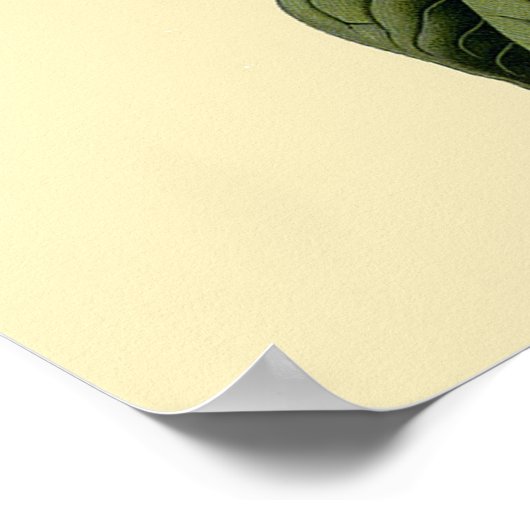 Lila bloemen Poster (Hoek)