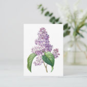 Lila bloemen Redouté Botanische illustratie Briefkaart (Staand voorkant)