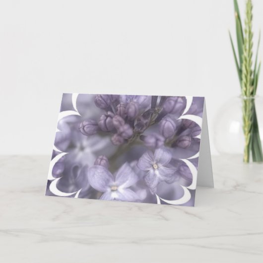 Lila bloemen Wenskaart Kaart (Voorkant)