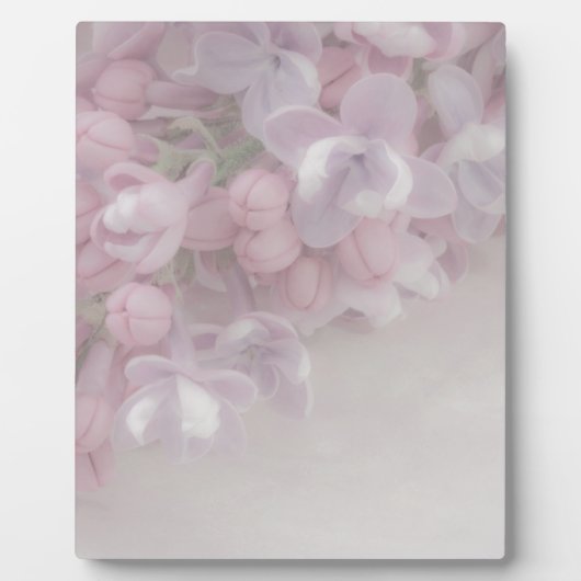 Lila bloesem fotoplaat (Voorkant)