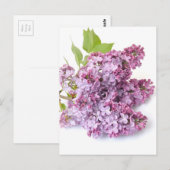 Lila bloesems briefkaart (Voorkant / Achterkant)