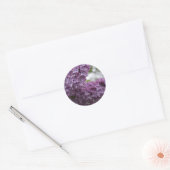 Lila bloesems ronde sticker (Envelop)
