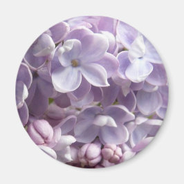 Lila Blossom Magnet