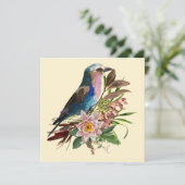 Lila borsten Roller Bird. Tropische regelingen. Kaart (Staand voorkant)