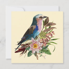 Lila borsten Roller Bird. Tropische regelingen. Kaart