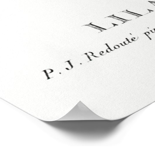 Lila Botanisch Poster (Hoek)