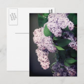 Lila Bouquet met Vignette Briefkaart (Voorkant / Achterkant)