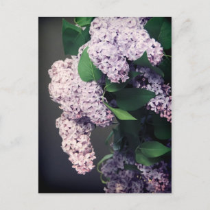 Lila Bouquet met Vignette Briefkaart