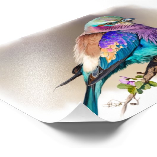 Lila-Breasted Roller Bird Foto Afdruk (Hoek)