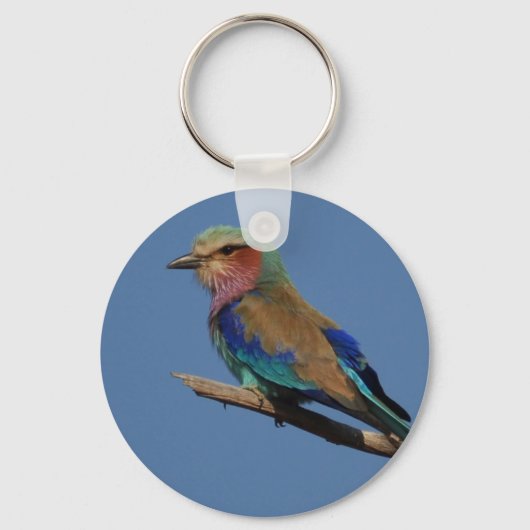 Lila-Breasted Roller Bird Sleutelhanger (Voorkant)