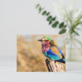 Lila-Breasted Roller Colorful African Bird Feestdagenkaart (Staand voorkant)