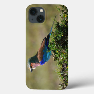 Lila Breasted Roller iPad Mini-hoesje iPhone 13 Hoesje