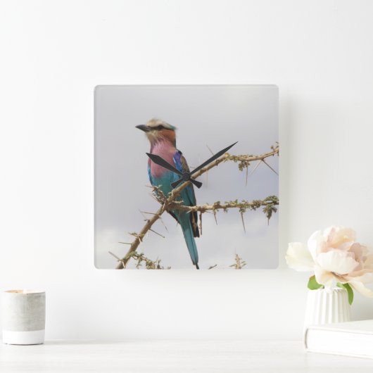 Lila Breasted Roller Vogelklok Vierkante Klok (Huis)