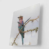 Lila Breasted Roller Vogelklok Vierkante Klok (Hoek)